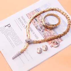 Snake Necklace bracelet High quality detail super complex simple design smooth inlaid with zircon gold silver rose gold